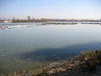 Тайна утренней реки