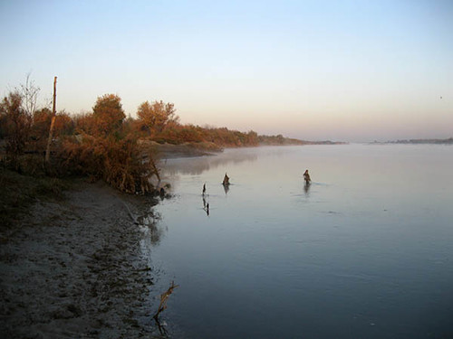 Туман над утренней рекой